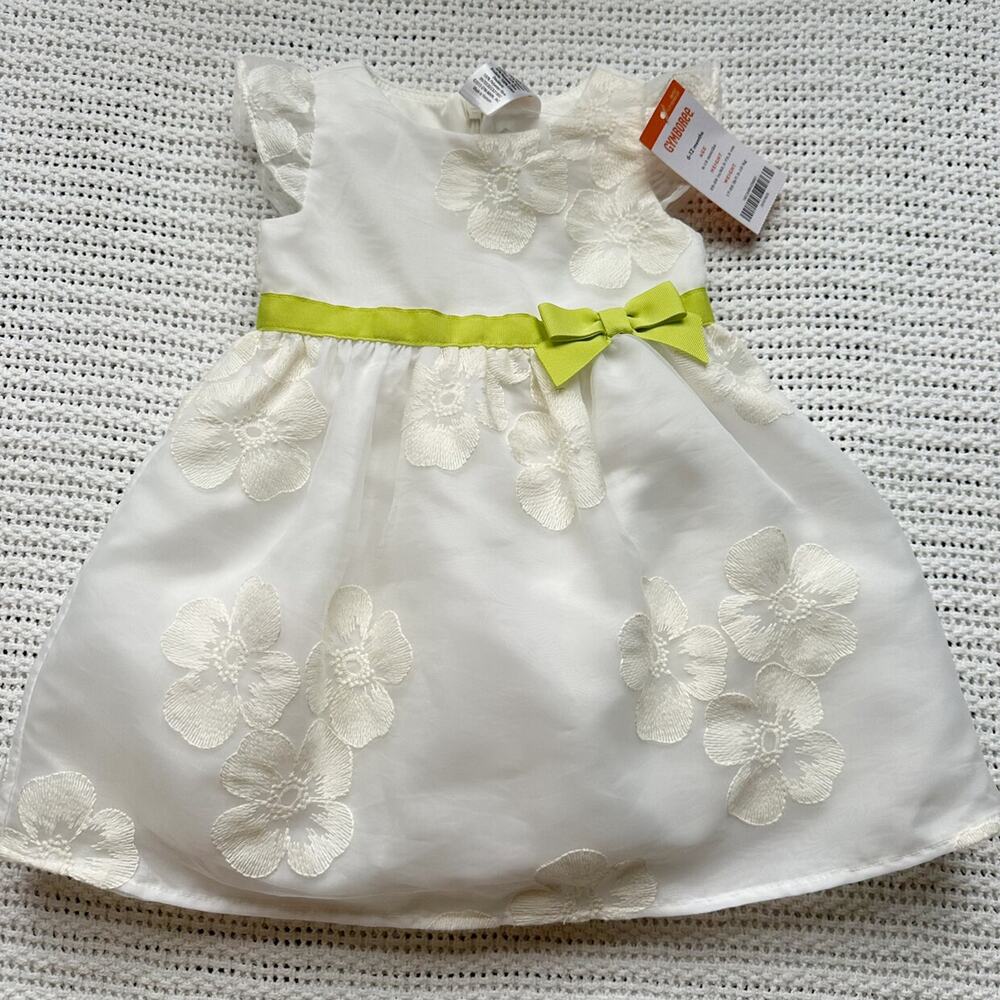 Gymboree Floral embroidered Organza Dress